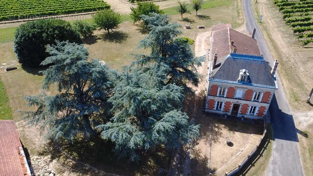 COZES Ancienne propriété viticole 305 m2 habitables 7 chambres 17 pièces au total - photo 32