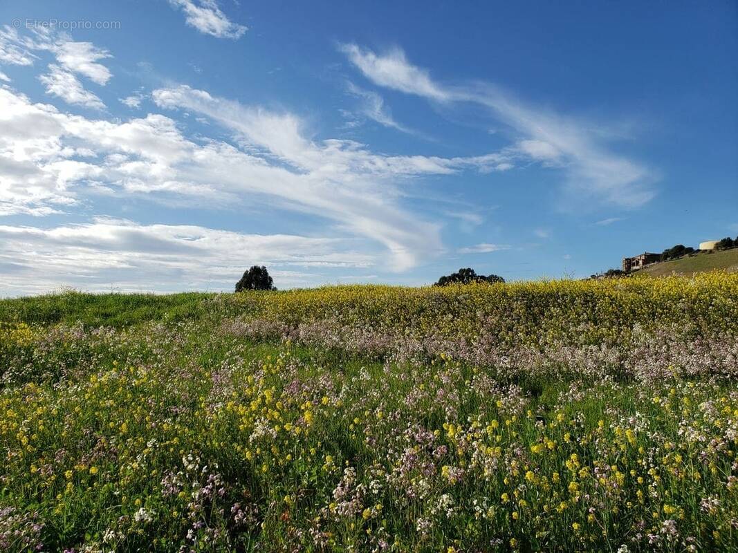 Terrain à L'AIGUILLON-SUR-MER