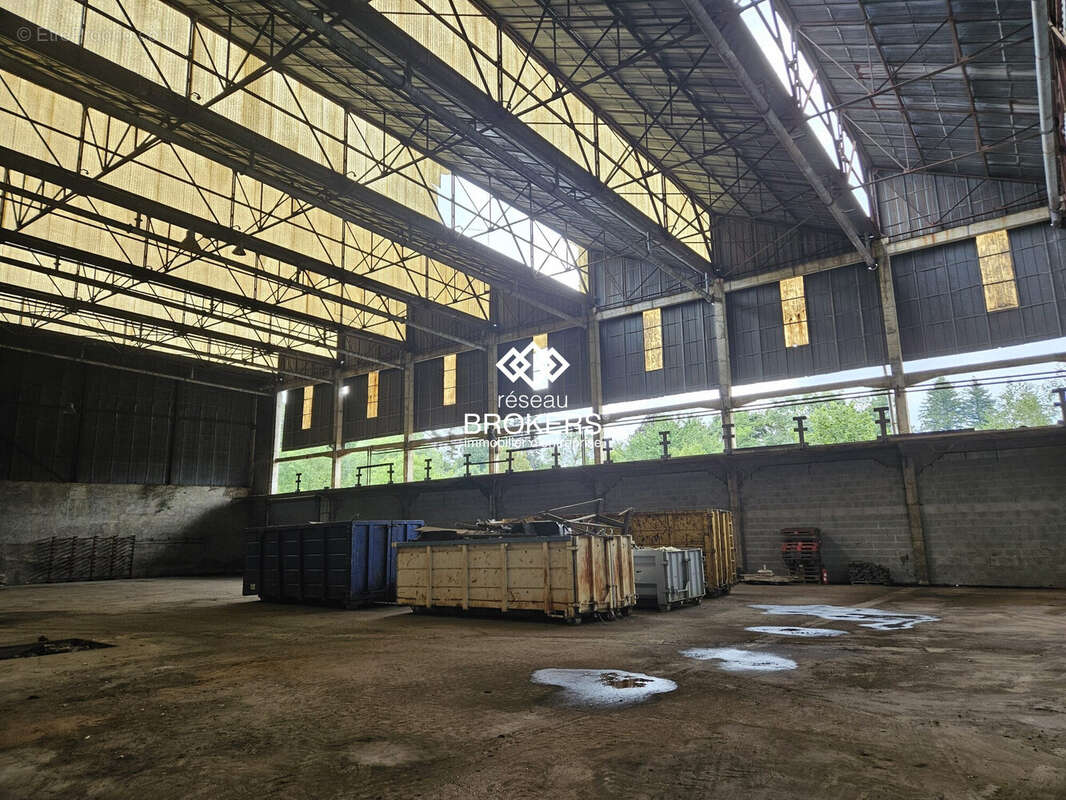 Commerce à SAINT-AMOUR