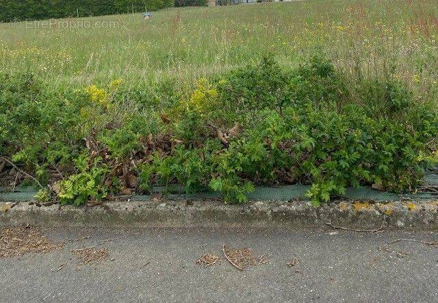 Terrain à SAINT-VALERIEN