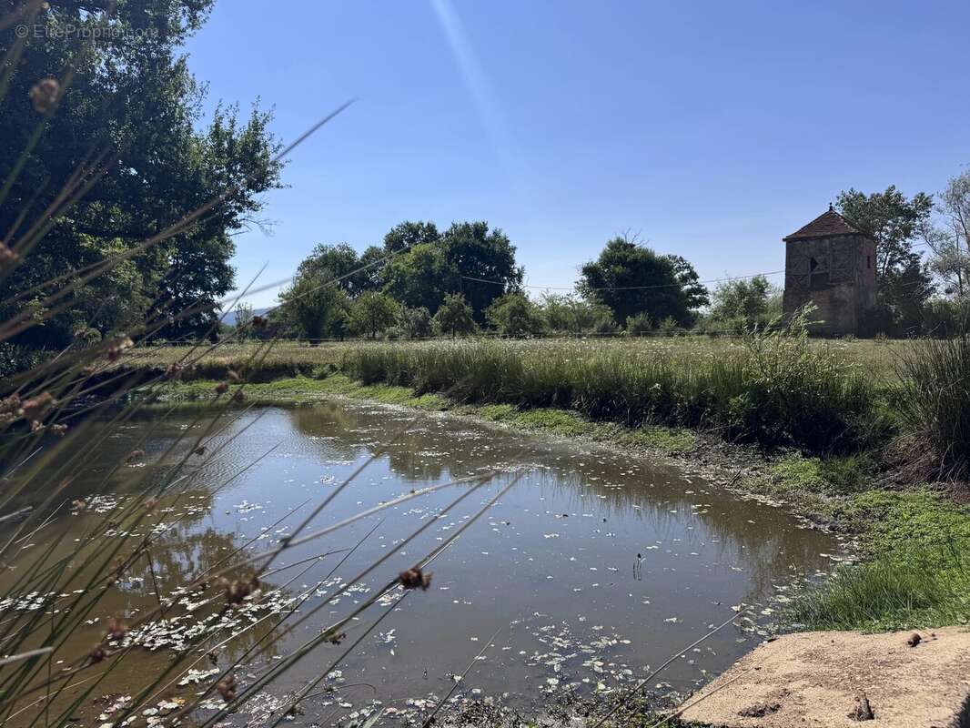 Ferme bressane de caractère sur près de 2,7 hectares – Un véritable havre de paix aux portes de Louhans - photo 4