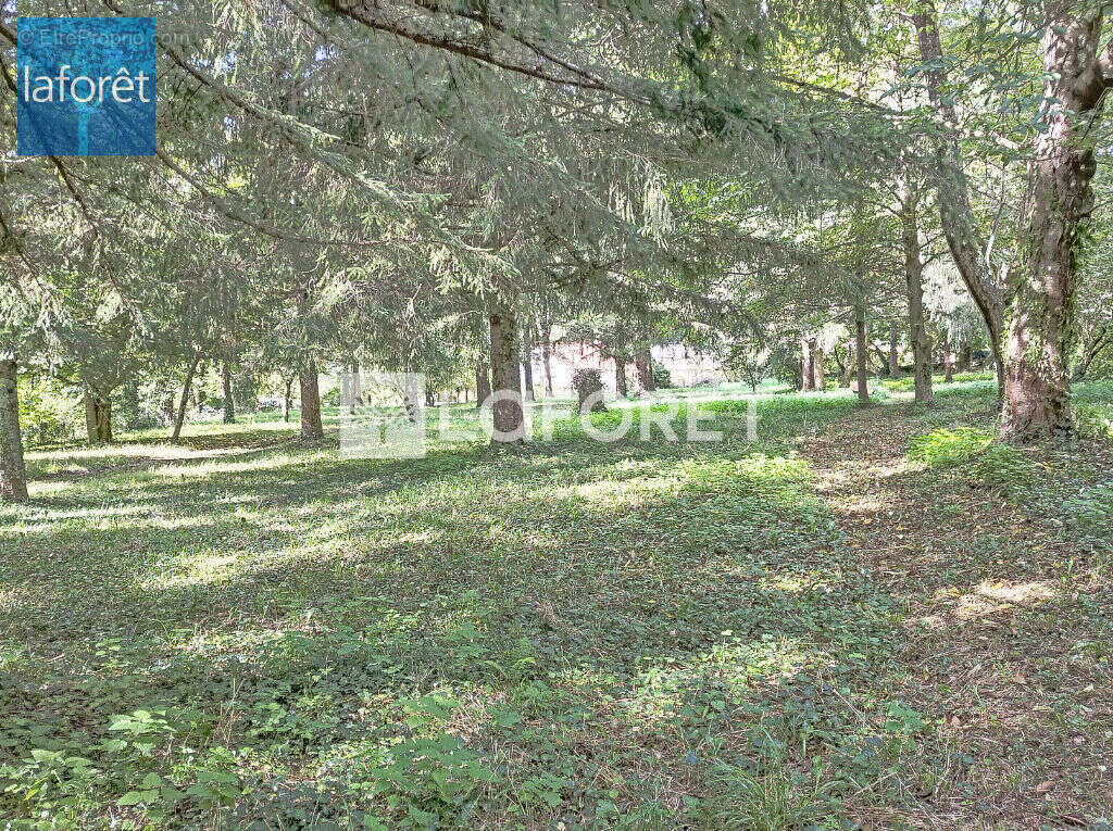 Terrain à PRATS-DE-MOLLO-LA-PRESTE