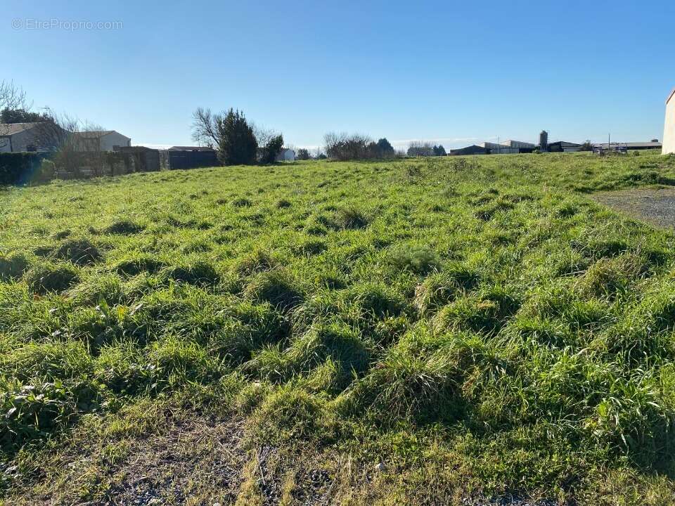 Terrain 321 m² à Hiers-Brouage  - photo 2