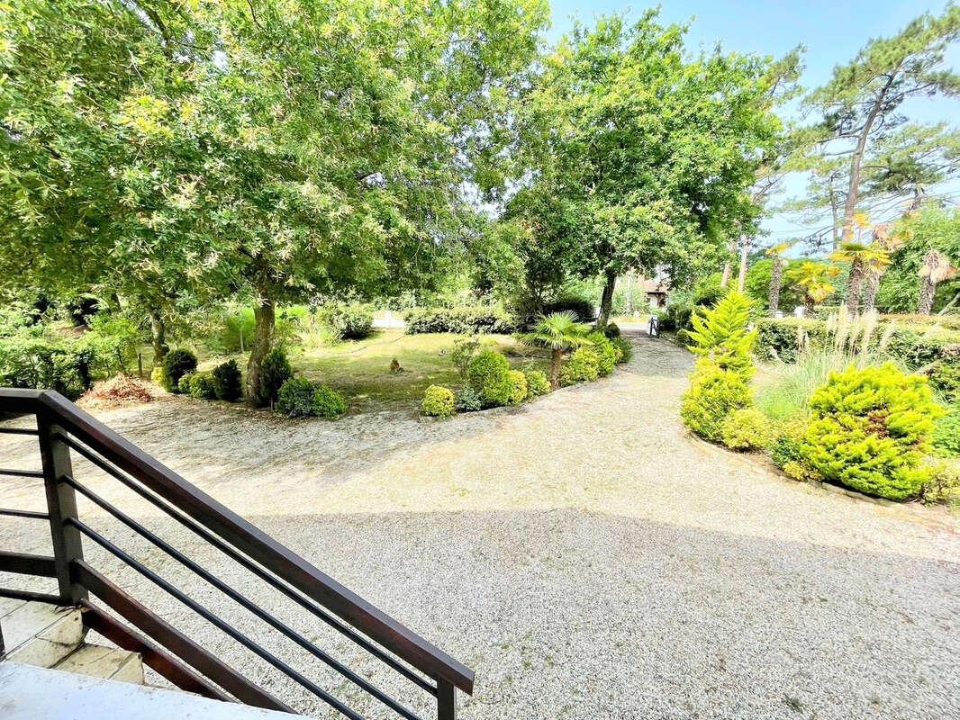 La teste de buch - abatilles/golf d'arcachon - projet d'architecte - 4 chambres - piscinable - beau terrain de - photo 5