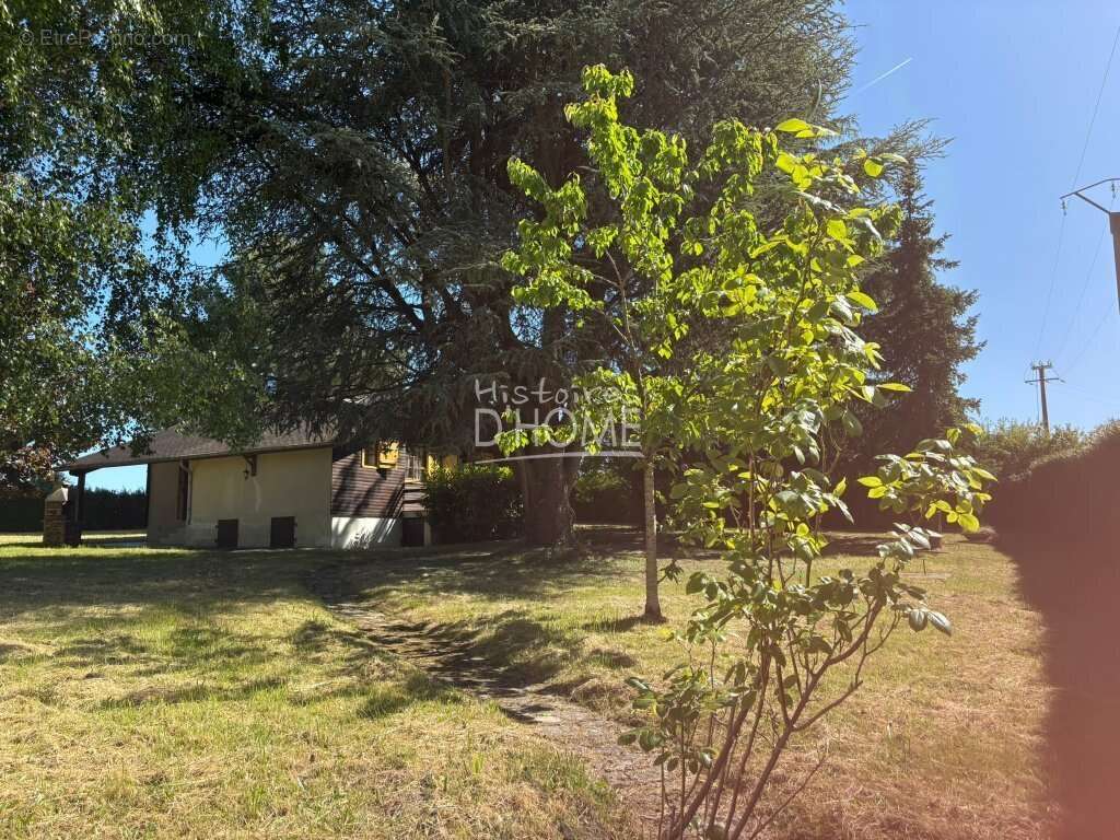 Maison à LA FERTE-GAUCHER