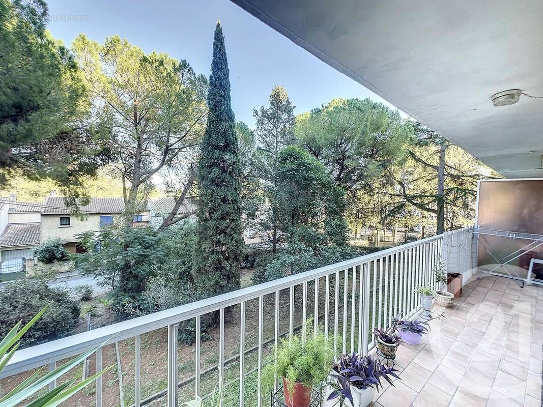 Photo 1 - Appartement à MONTPELLIER