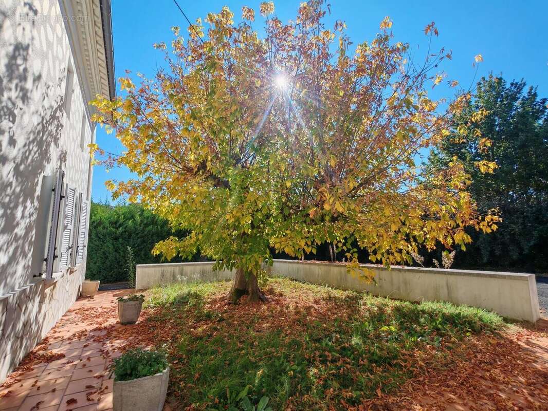 Photo 2 - Maison à MONTGUYON