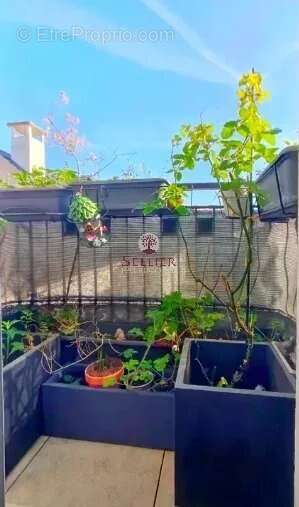 Appartement à LE PERREUX-SUR-MARNE