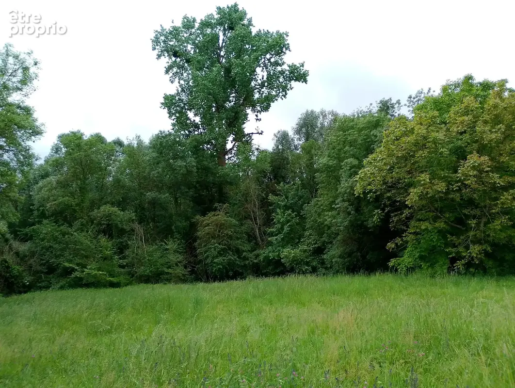 Secteur cognac - photo 13