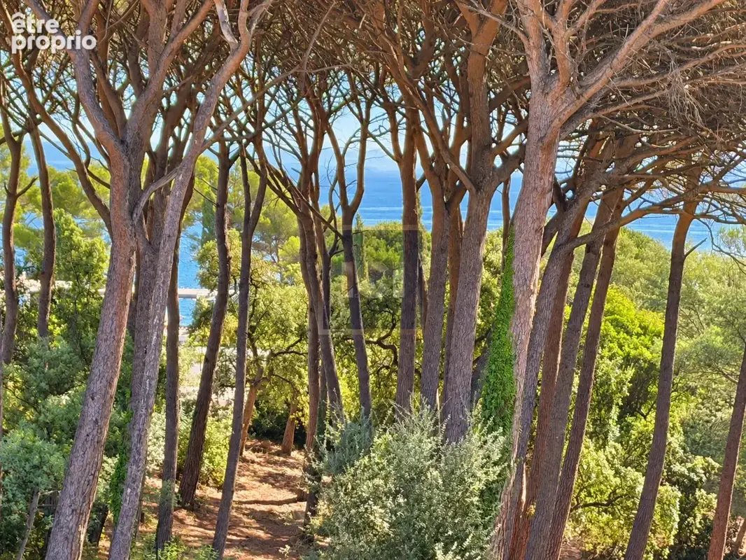Appartement 4 pièces 87 m² à vendre à Sainte-Maxime (83120) - photo 2
