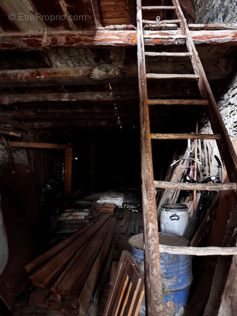 Achat - vente  : maison - chalet - grange - bel ensemble  a renover - montagny 73350 - photo 9