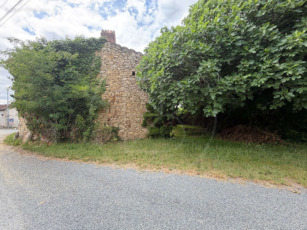 Maison à MONSEGUR