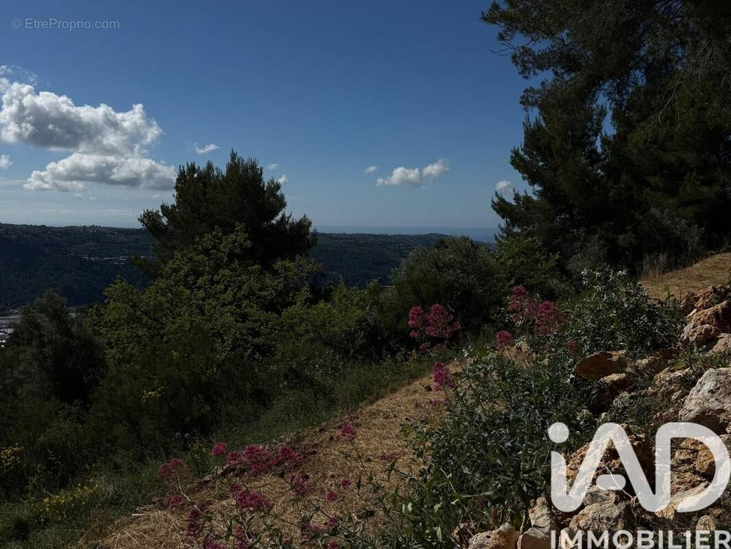 Photo 1 - Terrain à CARROS