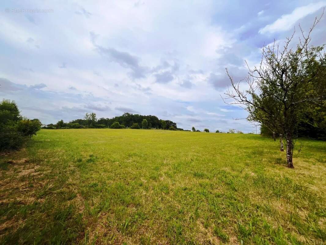 Maison à VERTEILLAC