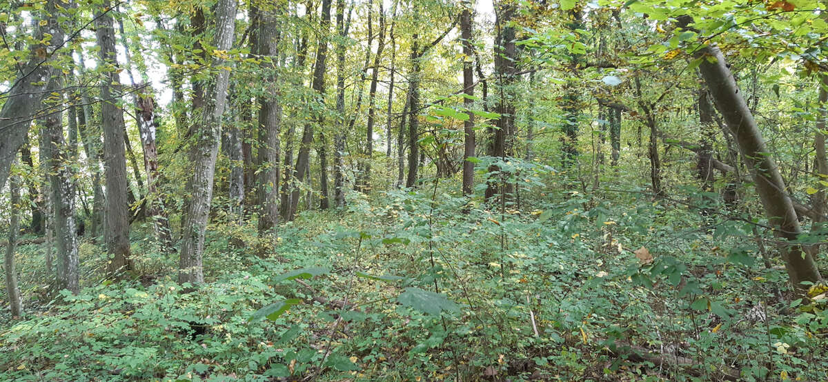 Terrain à LUNEVILLE