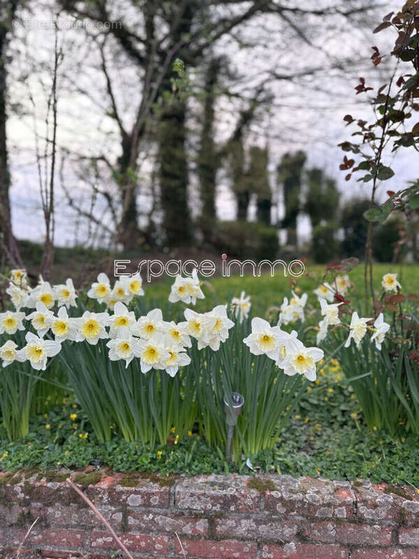 Maison à ANCEAUMEVILLE