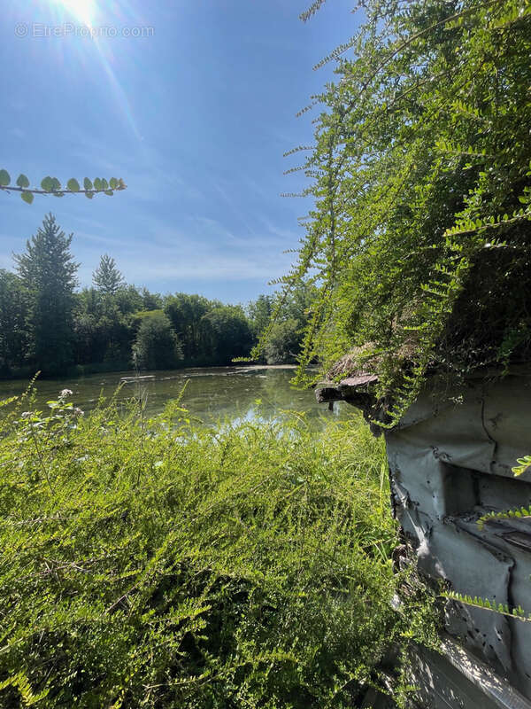 Terrain à FLIXECOURT