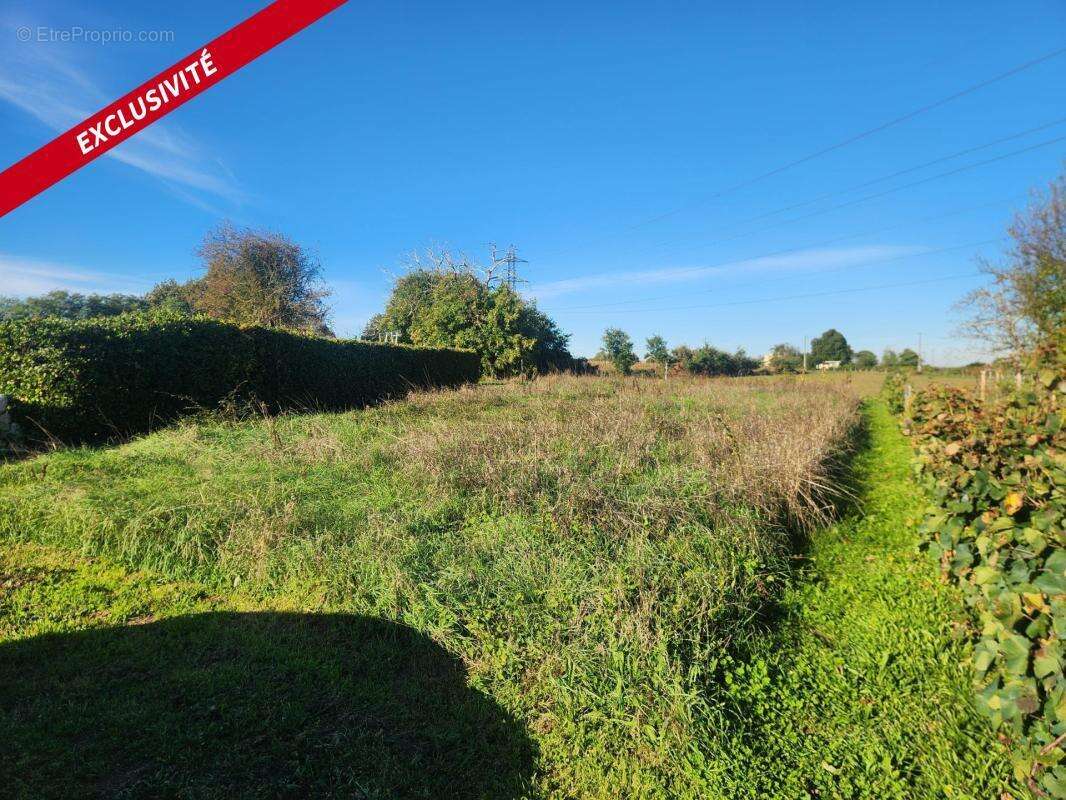 Maison de 75m² - photo 8