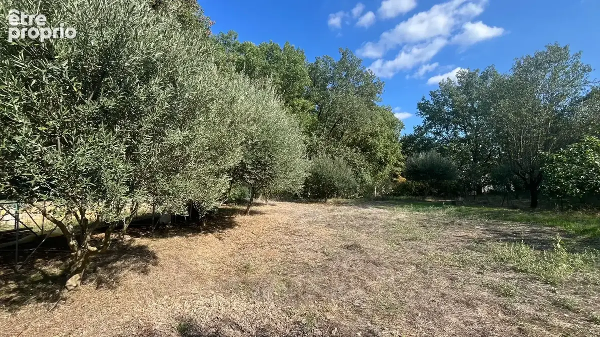 Maison T5 avec garage et piscine - Havre de paix et de nature sur près d'1 hectare - photo 17