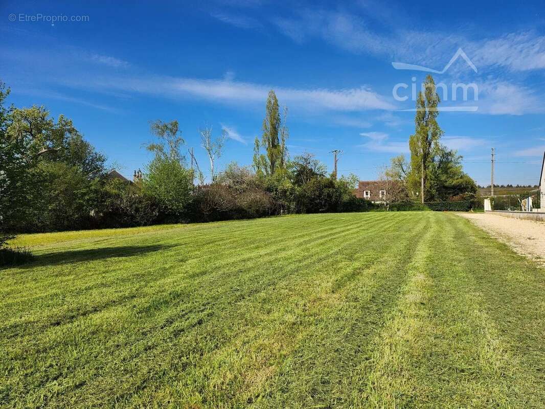 Terrain à SAINT-ELOY-DE-GY