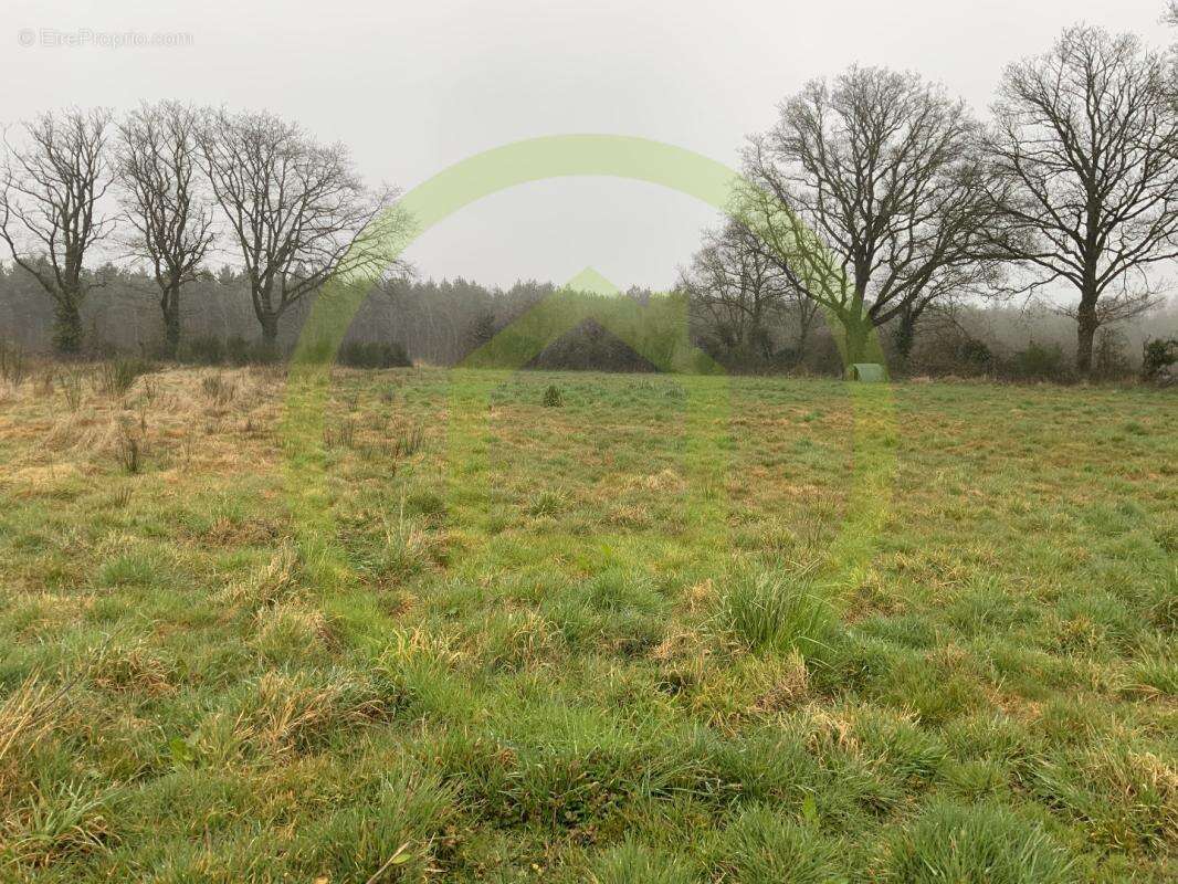 Maison à LIGNEROLLES