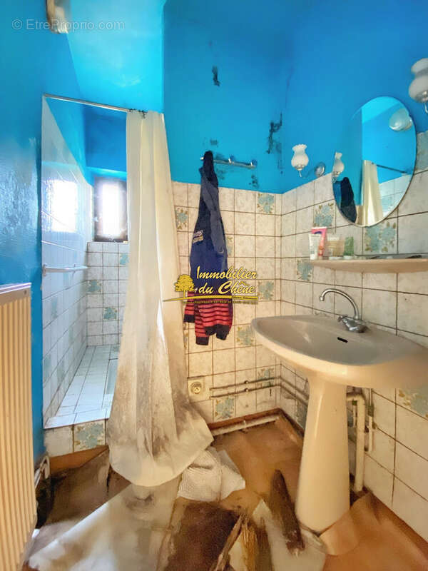Maison 110 m² à Haut-Du-Them-Chateau-Lambert  - photo 6