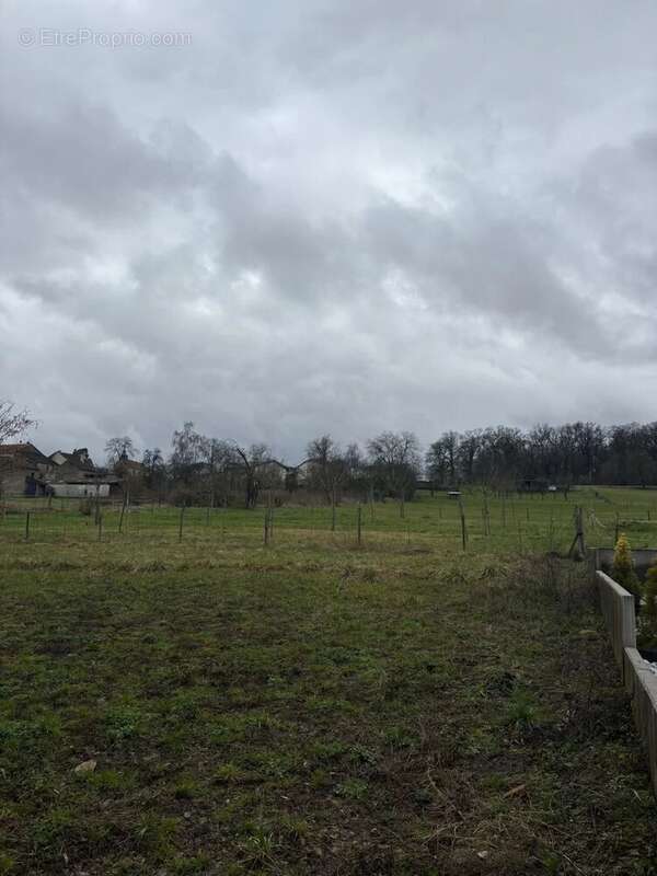 Terrain à GRINDORFF-BIZING