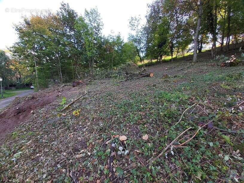 Terrain à BLIENSCHWILLER