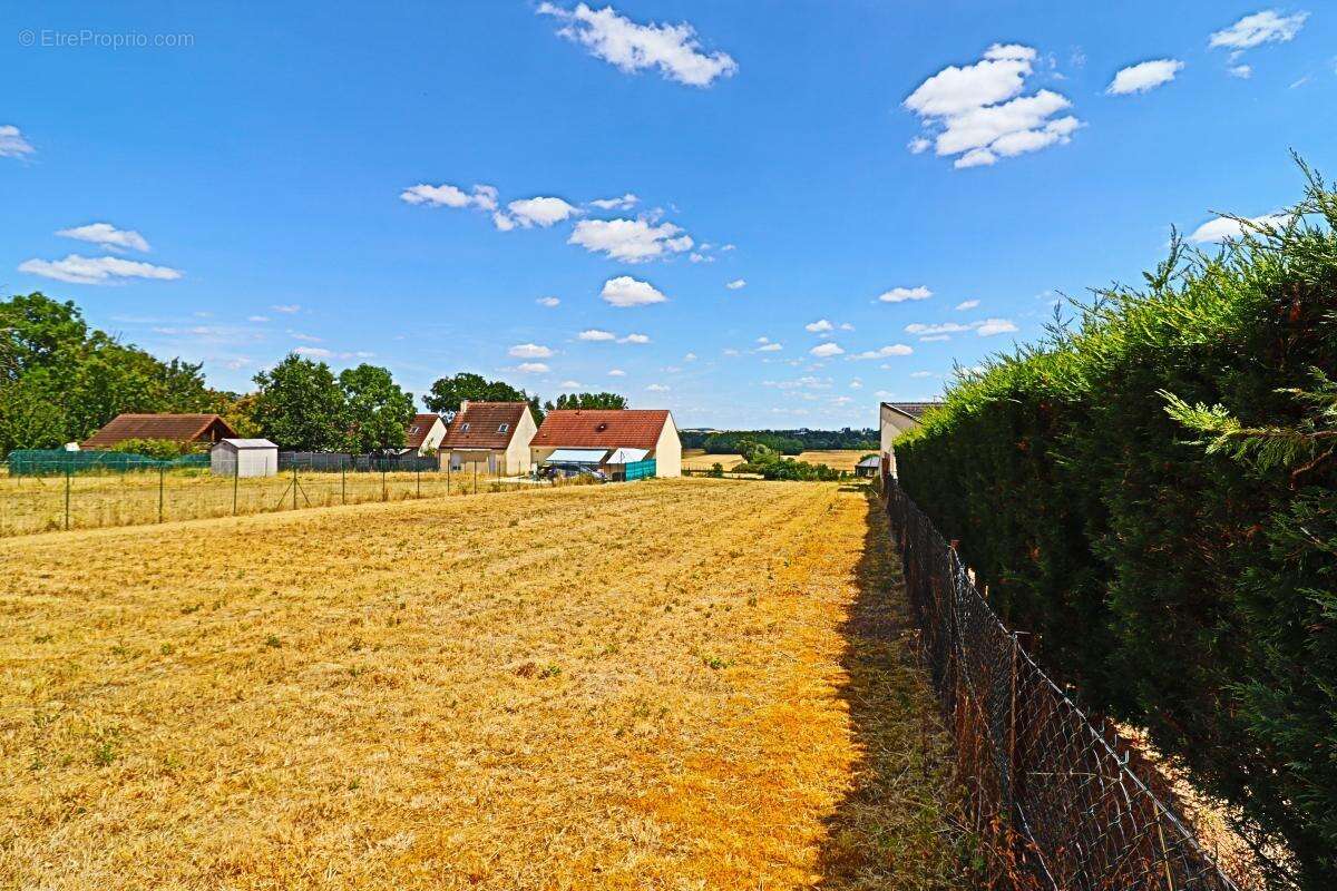 Terrain à bâtir exceptionnel de 1374 m² – Vue Vignobles & Val de Loire – Libre de constructeur - photo 3