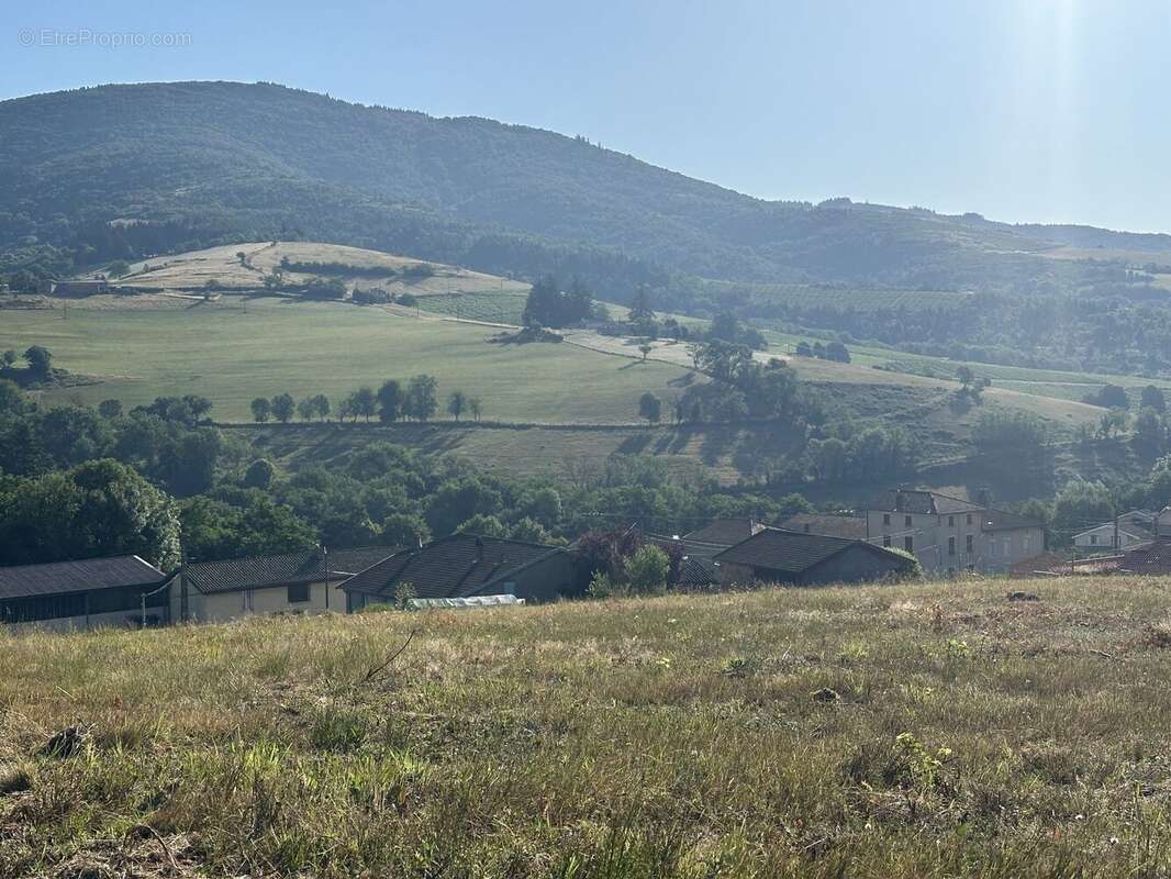 Terrain 1009 m² à Saint-Didier-Sur-Beaujeu  - photo 4