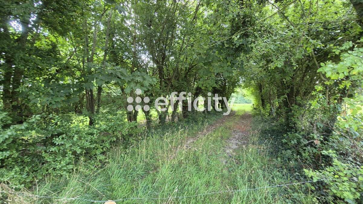 Maison à LE MOLAY-LITTRY