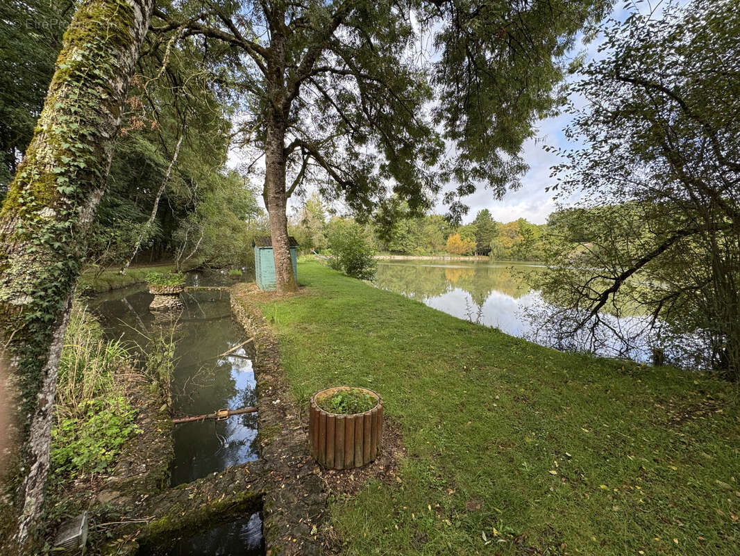 Terrain à CHAPELLE-VIVIERS