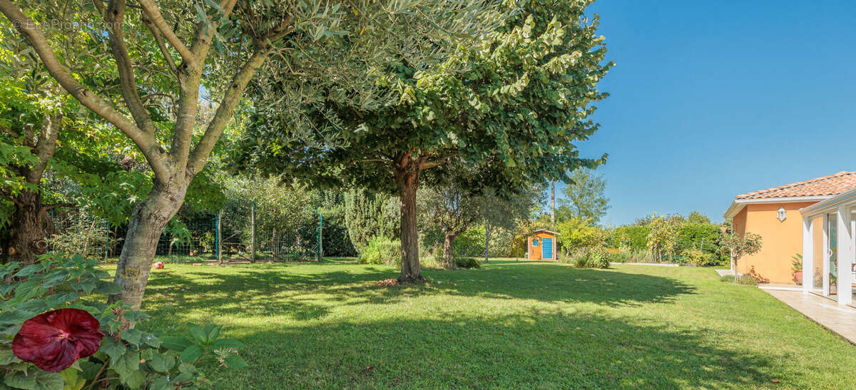 Villa Villeneuve Tolosane 5 pièce(s) 195 m2 - photo 4