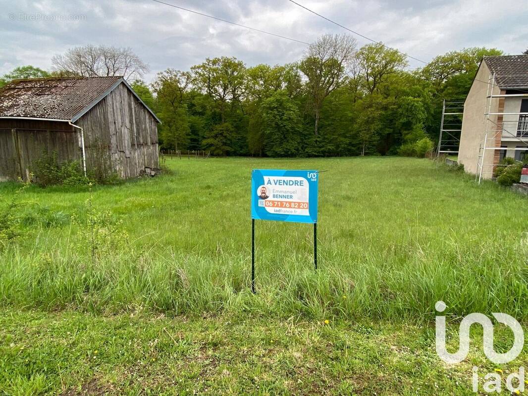 Photo 1 - Terrain à PUTTELANGE-AUX-LACS