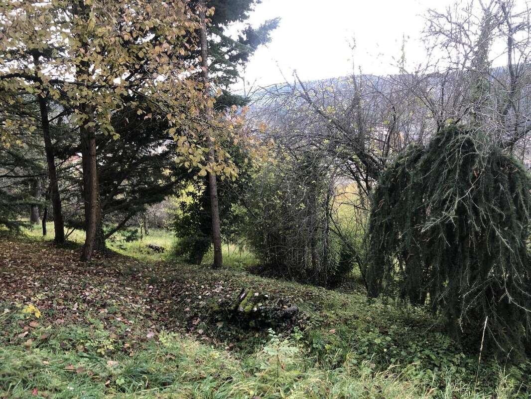Photo 8 - Terrain à THIZY