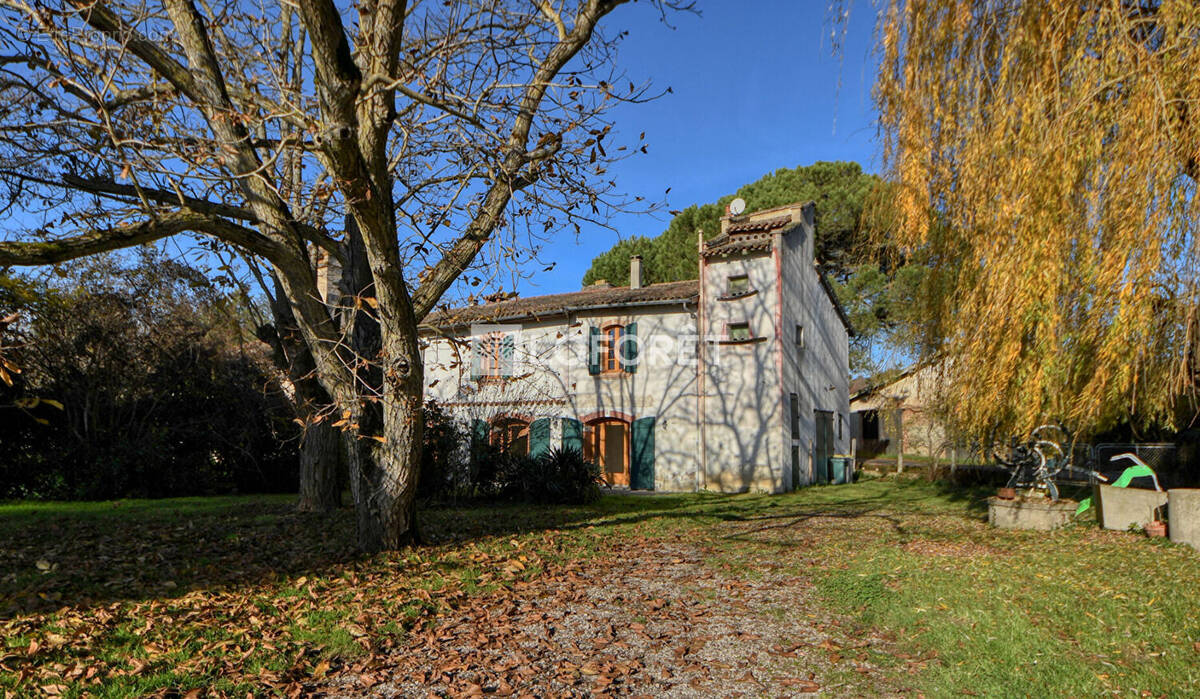 Maison à LISLE-SUR-TARN