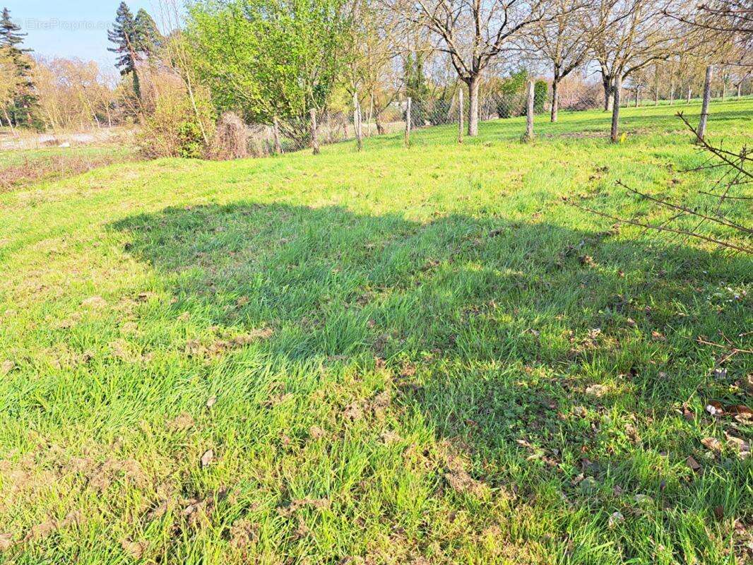 Terrain à VILLEVEQUE