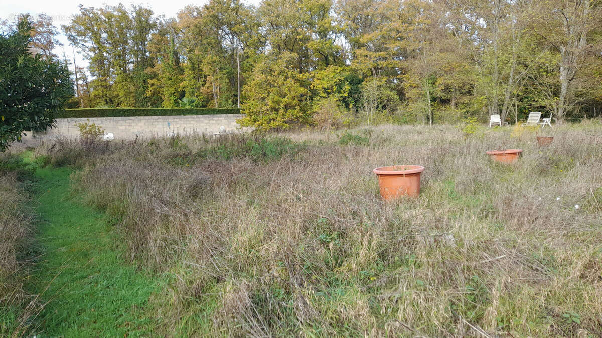 Terrain à BRIIS-SOUS-FORGES