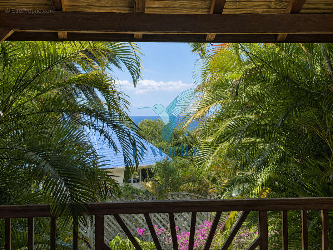 Dampierre   Le Gosier  Charmante villa 4 chambres avec piscine, jardin tropical et aperçu mer - photo 24