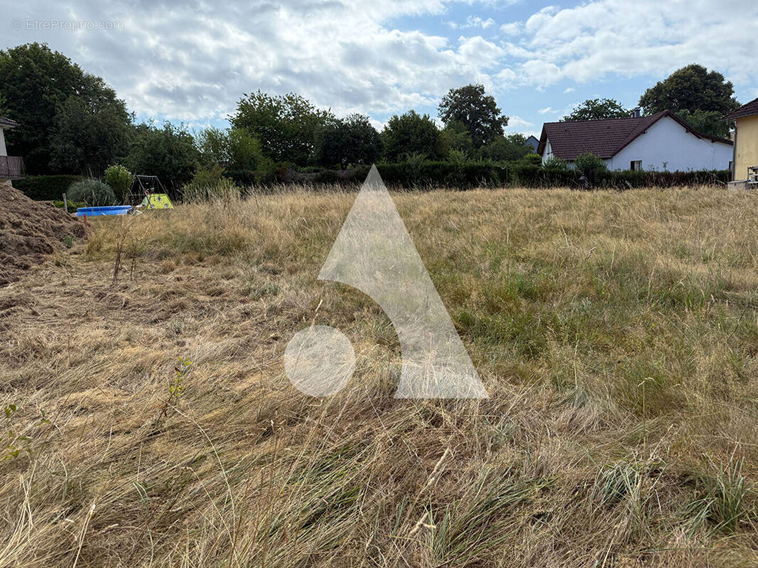 Terrain à VEZELOIS