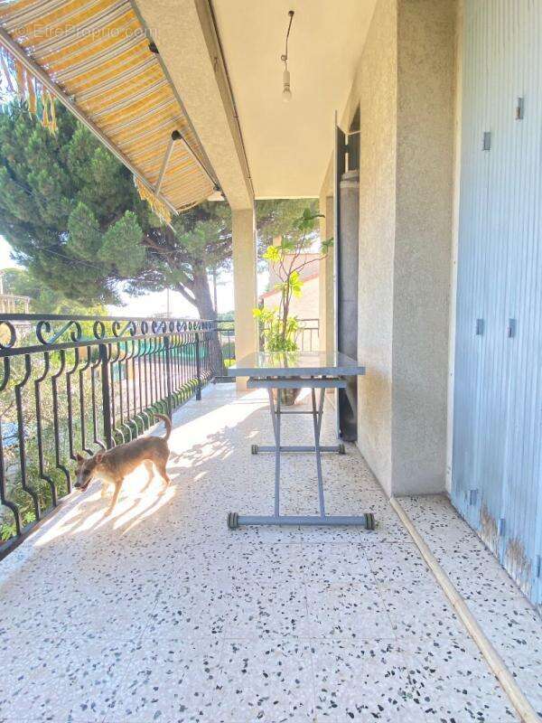 Maison à MONTPELLIER