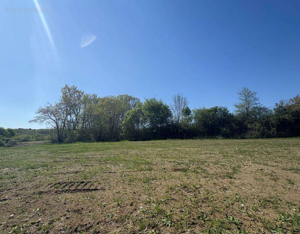 Terrain à MONESTIER