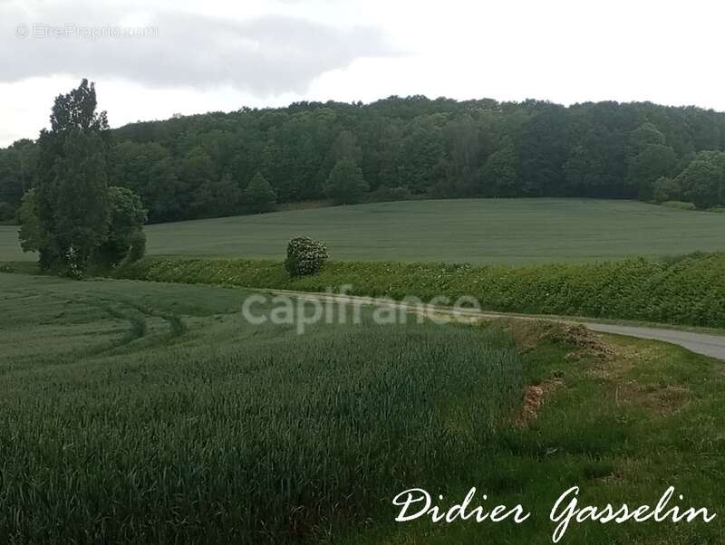 Terrain à vendre  BRUNELLES (28) - photo 2