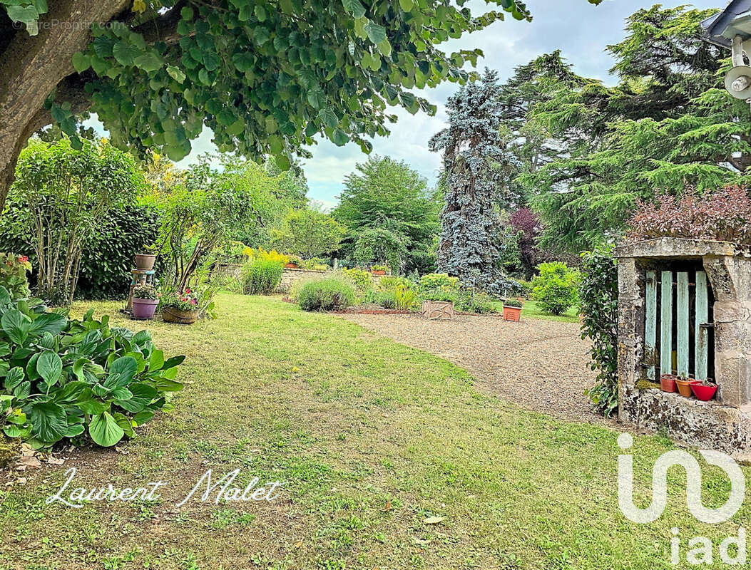 Photo 4 - Maison à SAINT-AVERTIN