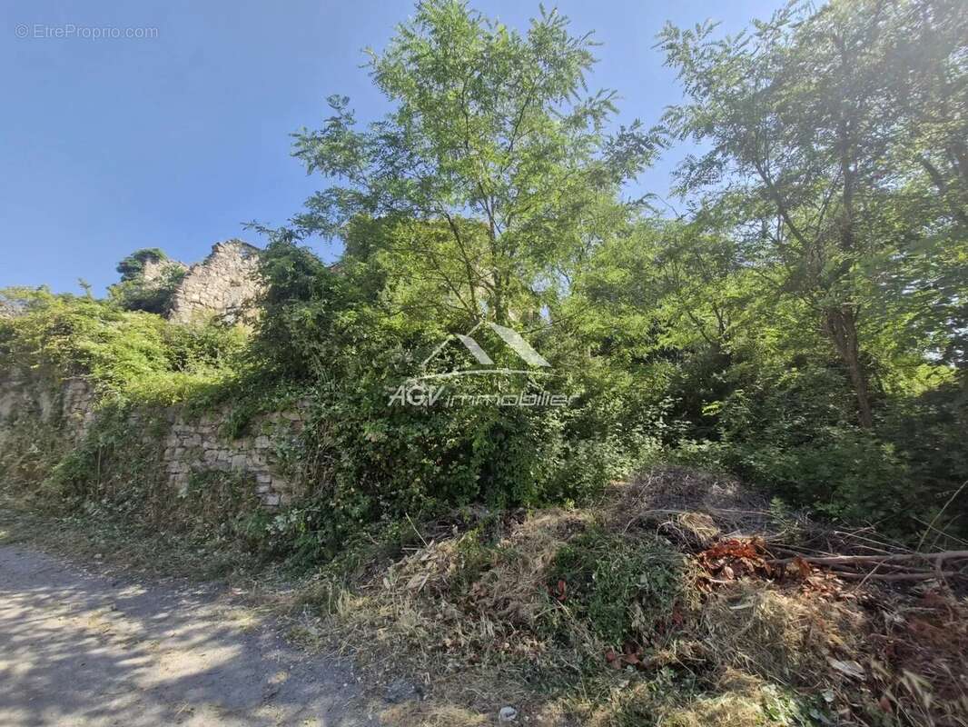 Terrain à SAINT-FLORENT-SUR-AUZONNET