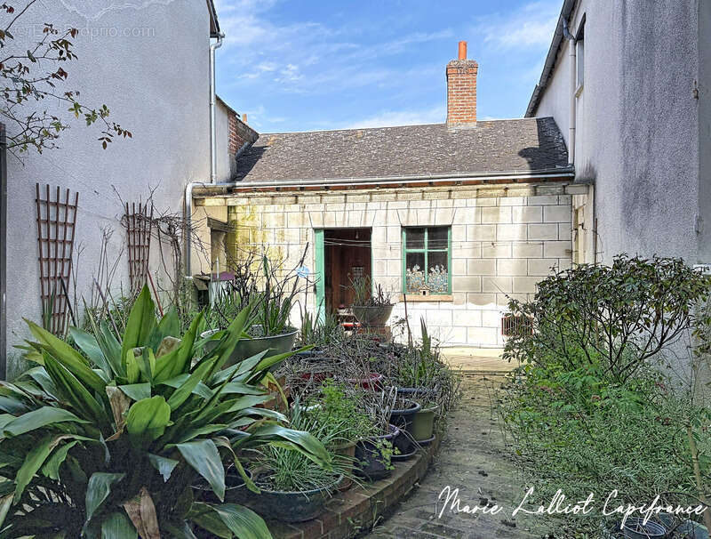 Ensemble de 2 Maisons à vendre BOYNES (45), Garage, 6 chambres, Cave, Idéal Investisseur ou partage familial - photo 6