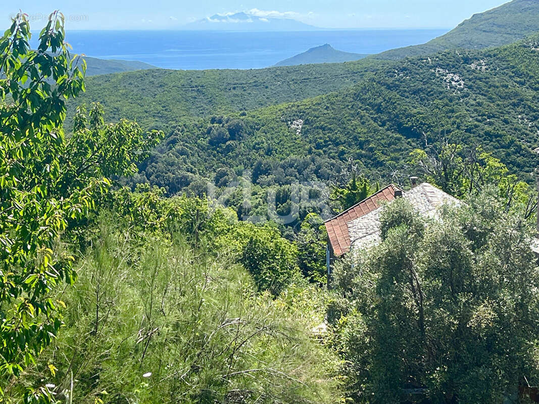 Maison à PIETRACORBARA