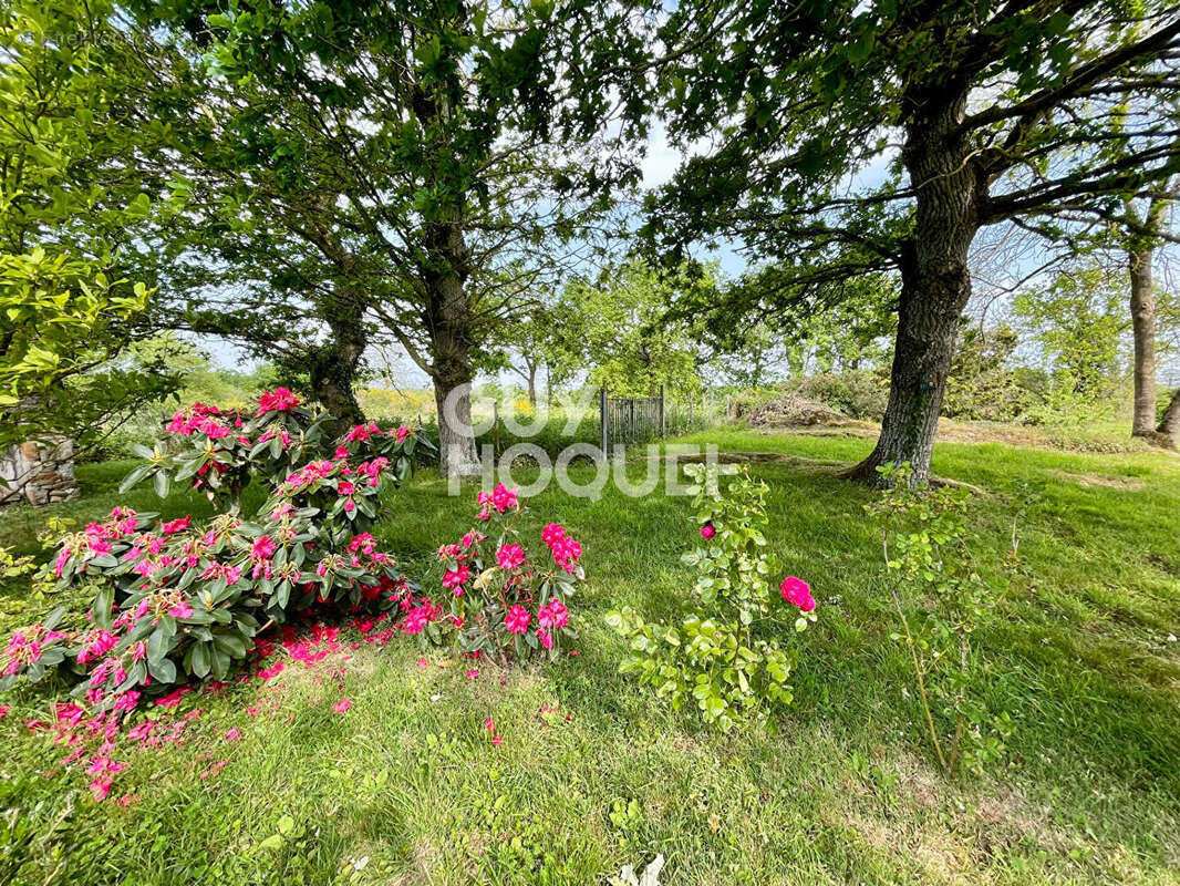 Maison à BAGUER-MORVAN