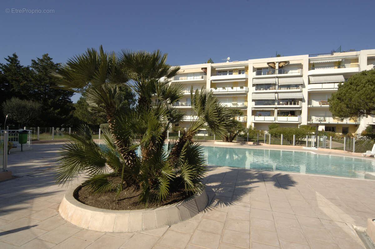 Exceptionnel - lido -  dernier etage - vue mer panoramique - photo 19