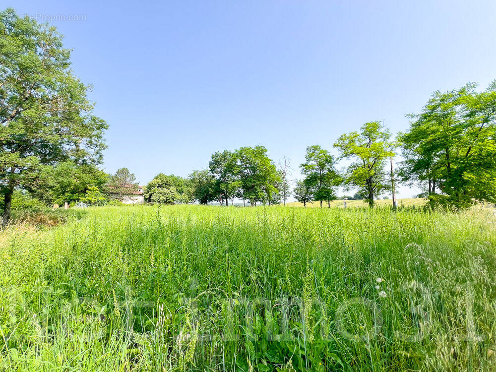 Terrain à MAURENS-SCOPONT
